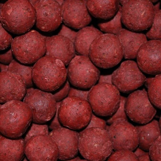 cin salmon spice 20