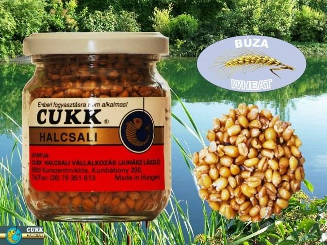 cukk 0091