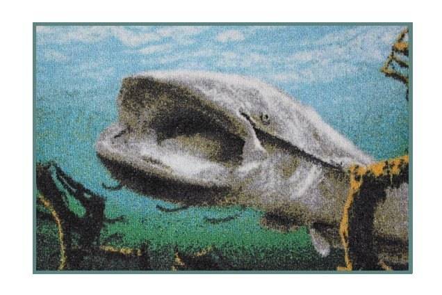 Obrázek k výrobku 52753 - DELPHIN Rohožka 3D Sumec