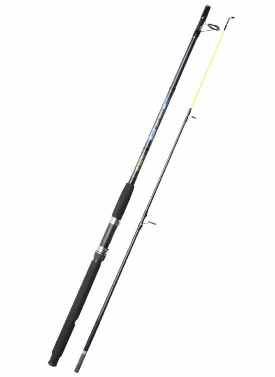 Obrázek k výrobku 58567 - RON THOMPSON Prut Evp2 SeaBoat 2.40 m 100-250 g