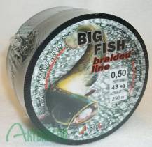 Obrázek k výrobku 51208 - BROLINE Sumcová šňůra Big Fish 250 m
