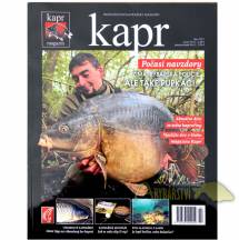 kap 10 17