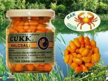 cukk 0069