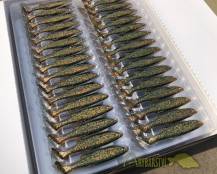 Obrázek k výrobku 58904 - SAVAGE GEAR Gumová nástraha LB 3D Fat Minnow T-Tail Motor Oil
