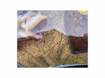 Obrázek k výrobku 59367 - SENSAS Krmítková Směs 3000 Method Feeder 1 kg