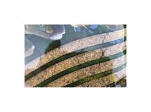 Obrázek k výrobku 59394 - SENSAS Krmítková Směs 3000 SUPER FEEDER 1 kg