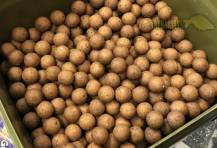Obrázek k výrobku 60776 - STARBAITS Boilies Feedz 20 mm 4 kg