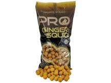 Obrázek k výrobku 73206 - STARBAITS Boilies PRO Ginger Squid 2 kg 20 mm