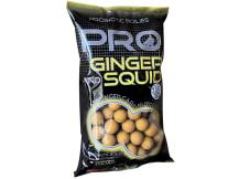 Obrázek k výrobku 72666 - STARBAITS Boilies PROBIOTIC Ginger Squid