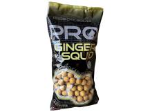 Obrázek k výrobku 72666 - STARBAITS Boilies PROBIOTIC Ginger Squid