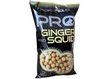 Obrázek k výrobku 72666 - STARBAITS Boilies PROBIOTIC Ginger Squid