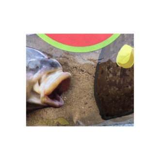 SENSAS Krmítková Směs 3000 Method Feeder 1 kg