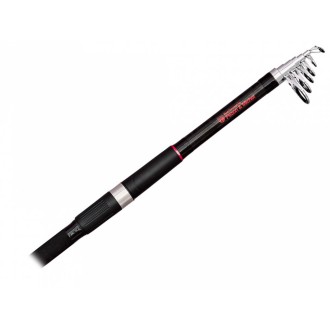 PEZON & MICHEL Prut Rafale Trapper 3.00 m 30-100 g